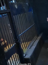 Episode 63 - From Courtesan to Empress: Taking It Easy