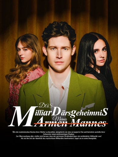 Das Milliardärsgeheimnis meines armen Mannes