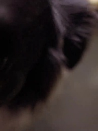 第29話 - 白石社長の父としての願い