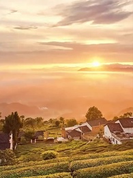 第6集 - 閃婚媽媽