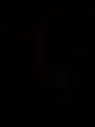 Bound to the Wrong Mafia - Episode 38