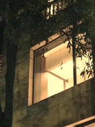 44화 - 무신의 퇴직생활