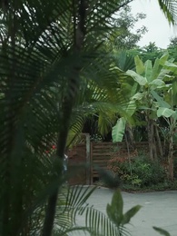 เมื่ออรุณส่องแสง - Episode 50