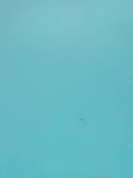 Kembalinya Istri Tercinta 1 - Episode 39