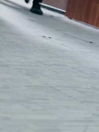 Episode 50 - The Meteoric Rise of a Super Tycoon