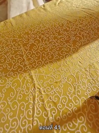 พิษรักรอยแค้น - Episode 41