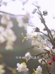 황태녀와 그녀의 남자들 - Episode 11