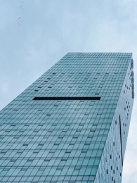 第45集 - 玫瑰故事之誤診後我橫衝直撞