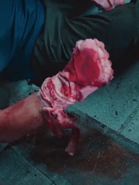 Episode 19 - A Heroine's Return: Long Live the Dragonland