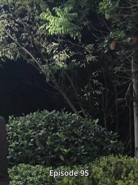 Episode 95 - Ex-Frau-Tipps: Herr Schmidt soll mich lieben