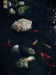 デフレ世界～女優に愛される～ - Episode 21