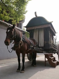 月に誓うは 偽りの愛 - Episode 34