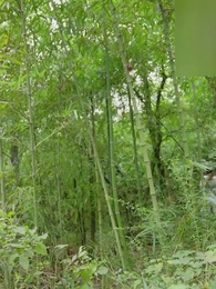 위풍당당 송황후 - Episode 39