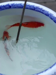 Episode 44 - The Palace of Vengeance