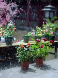 The Palace of Vengeance - Episode 50