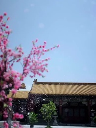 The Palace of Vengeance - Episode 74