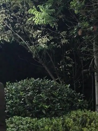 Meu Ex, Meu Amor: O Plano Perfeito - Episode 95