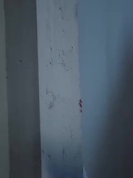 71화 - 나의 법의비자