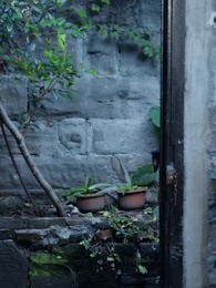 The Rebellious Housewife: Be Her Own Master - Episode 74