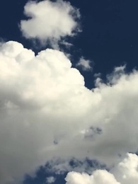 Episode 41 - Escape the Billionaire’s Embrace