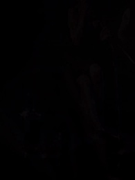 Episode 30 - The Alpha King's Wolfless Luna