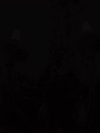 The Alpha King's Wolfless Luna - Episode 44