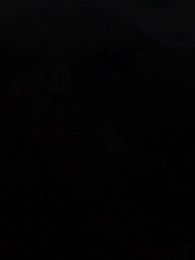 The Alpha King's Wolfless Luna - Episode 41