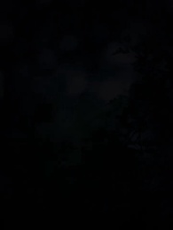 Episode 1 - The Alpha King's Wolfless Luna