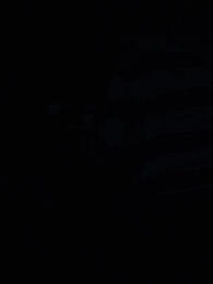 Episode 54 - The Alpha King's Wolfless Luna