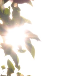 Daily Lives of My Ex-husband - Episode 3