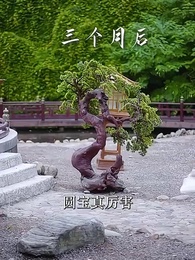 第81集 - 不負春和景寧