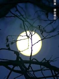 不負春和景寧 - Episode 34