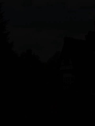 Episode 68 - The Alpha King's Wolfless Luna