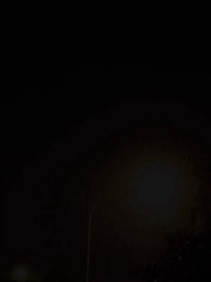 Episode 31 - The Alpha King's Wolfless Luna