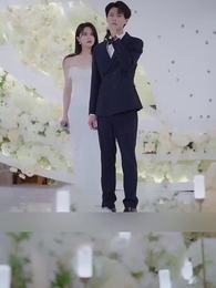 Professional Stand-in: Refuse To Be His Wife - Episode 79