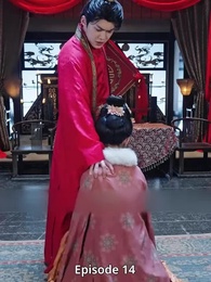 Episode 14 - A Miracle Doctor's Divorce Battle: Escaping My Prince