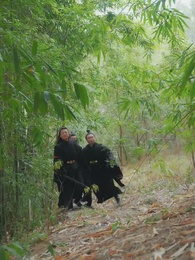 Episode 44 - From Heaven to Hell: The Unveiling of Her Underdog