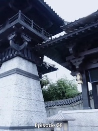 Episode 28 - A Miracle Doctor's Divorce Battle: Escaping My Prince