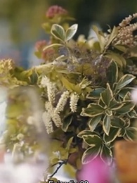 Episodio 28 - Llámame Alfa