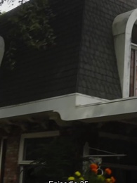 Episodio 35 - Llámame Alfa