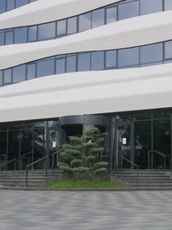 Episode 45 - Senorita Playing with Fire