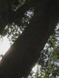 Episodio 2 - Llámame Alfa