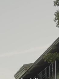 Episodio 40 - Llámame Alfa