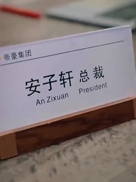 第27集 - 假意真情