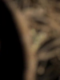 雙面美人 - Episode 1