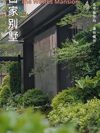 Episode 11 - Call My Son-in-law Husband