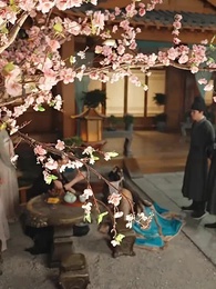 第7集 - 雙面美人