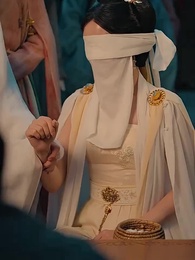 第15集 - 雙面美人