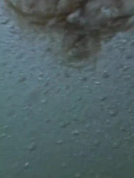 Isle of Conquest: No Man's Land - Episode 76