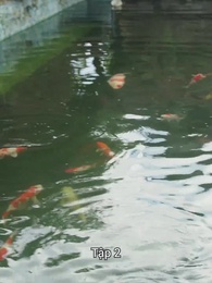 Vệ Sĩ Siêu Cấp - Episode 2